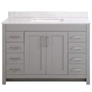 Westcourt 49 in. W x 22 in. D x 39 in. H Single Sink  Bath Vanity in Sterling Gray with Pulsar  Stone Composite Top