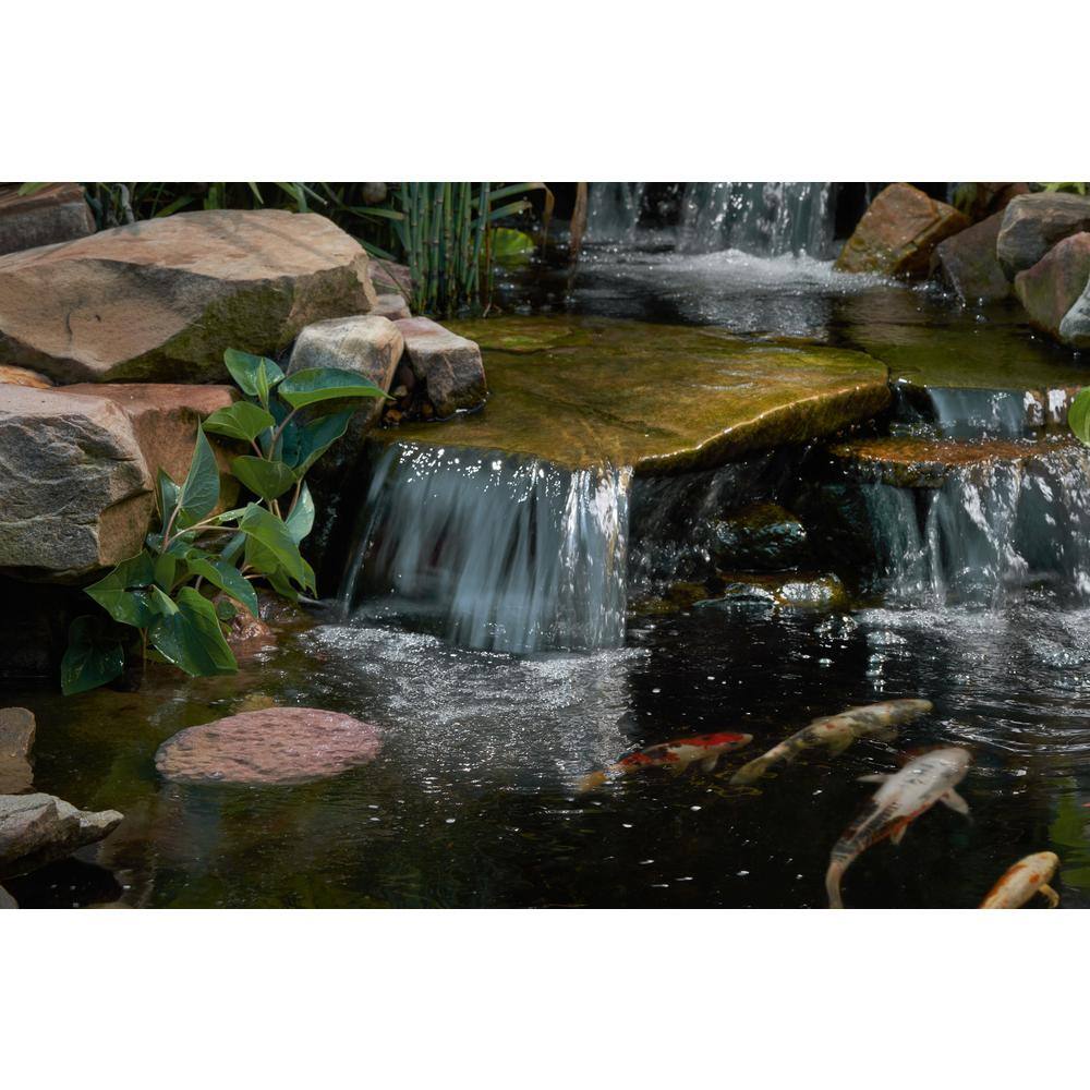 Large Nano-Porous Pink Pond Clarifier Rock