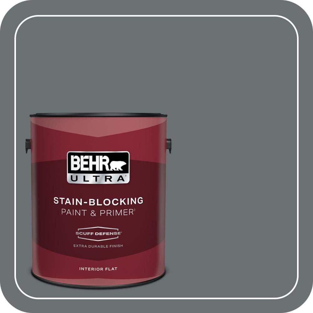 1 gal. #QE-61 Rich Pewter Extra Durable Flat Interior Paint & Primer price history on PriceWatchPro