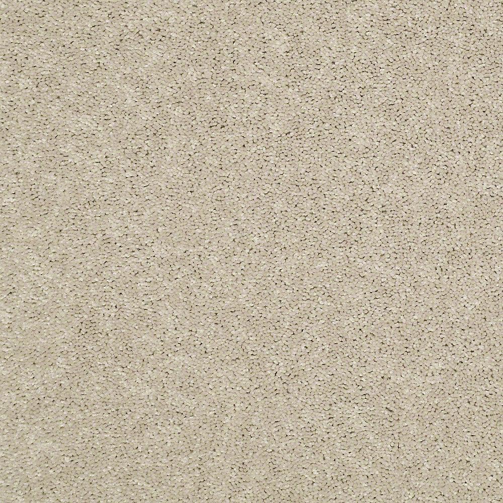 8 in. x 8 in. Texture Carpet Sample - Watercolors I - Color Raw Linen price history on PriceWatchPro