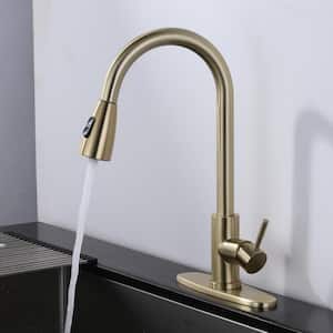 Single Handle Pull Out Sprayer Kitchen Faucet Included Deckplate in Brushed Gold