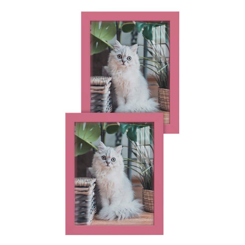 Modern Hot Pink 8x10 Wooden Picture Frame Set
