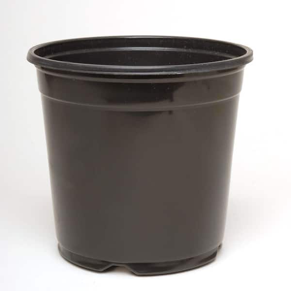 Unbranded 6 in. Plastic Nursery Pot