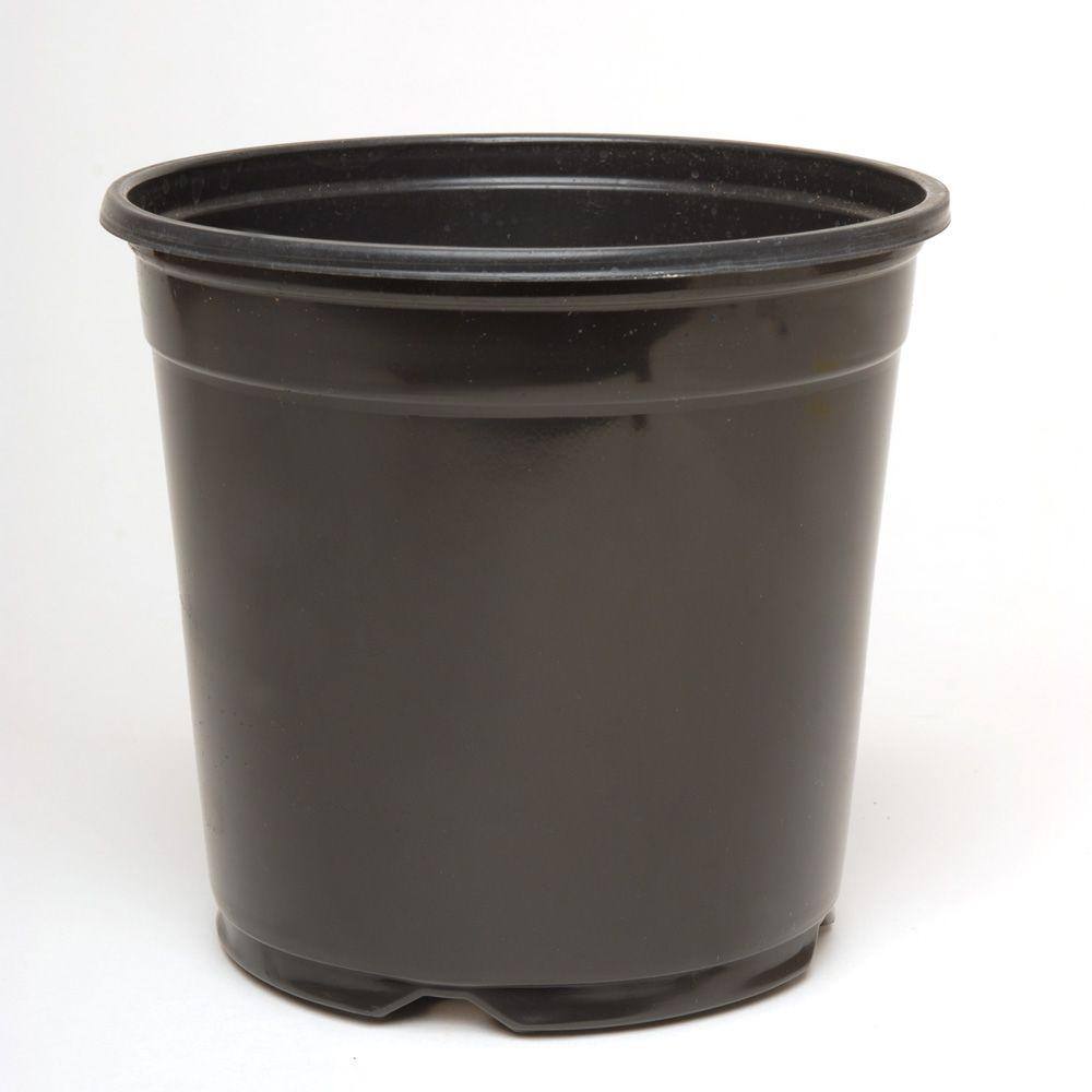 6 in. Plastic Nursery Pot TPNP01 The Home Depot