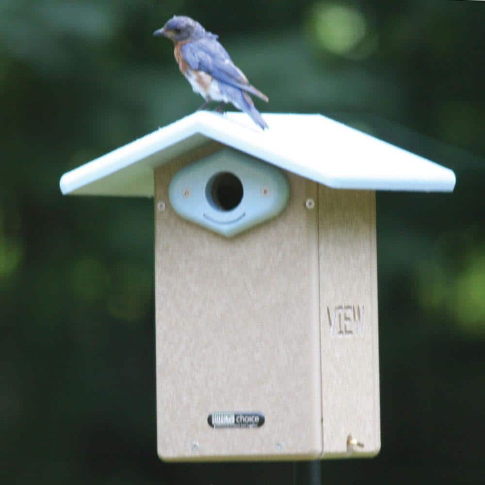 Ultimate Bluebird House with Recycled Plastic and Predator Guard