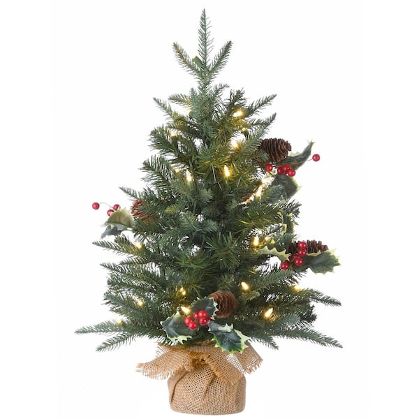 National Tree Company 2 ft. Happy Hill Pine Artificial Christmas Tree with LED Lights