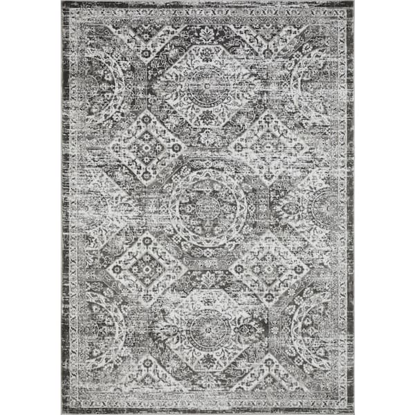 Rhane Alvezi Gray 9 ft. 10 in. x 12 ft. 10 in. Oriental Polypropylene Area Rug