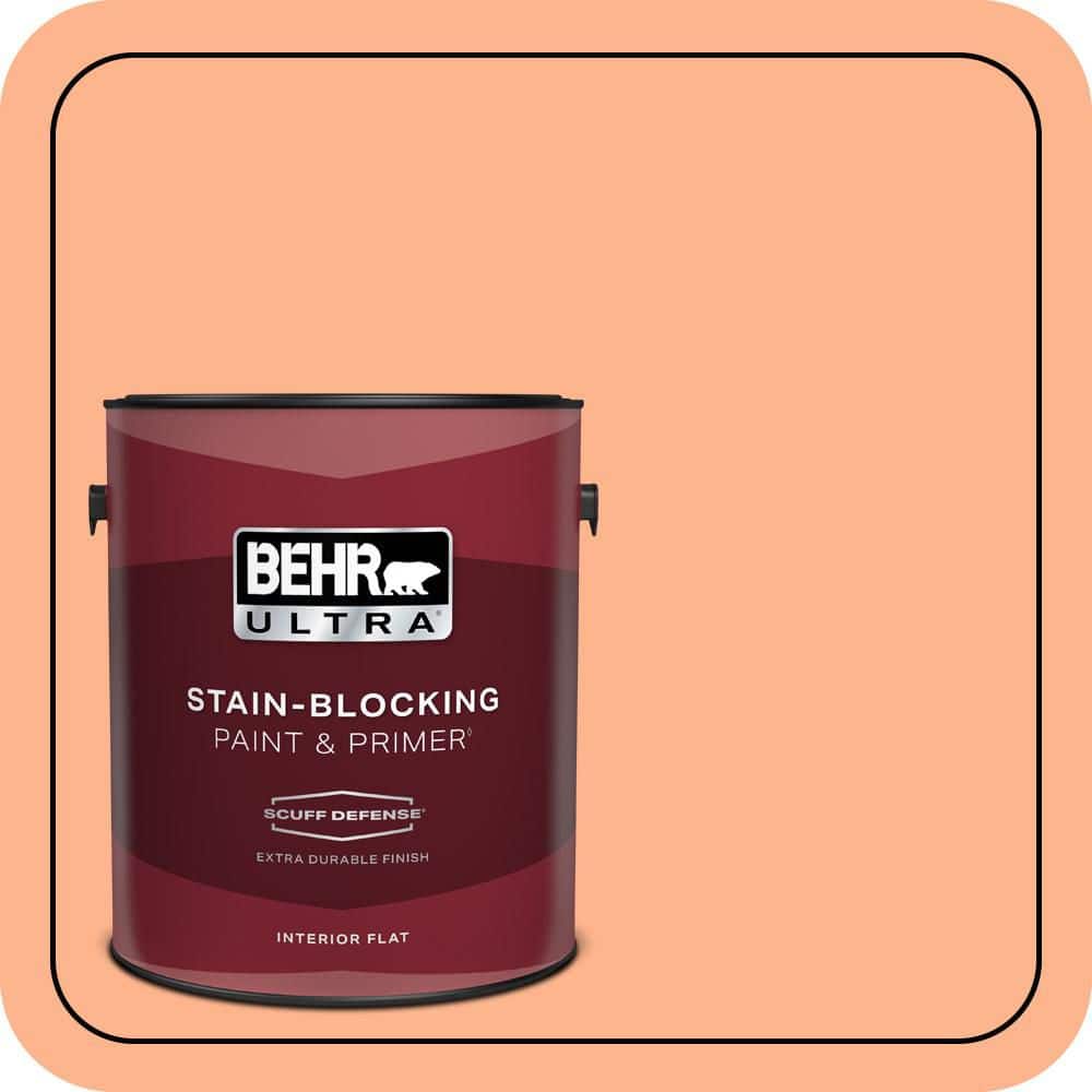 1 gal. #230B-4 Desert Sunrise Extra Durable Flat Interior Paint & Primer price history on PriceWatchPro