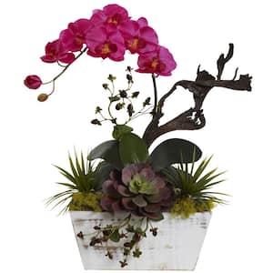 21 in. Artificial Orchid and Succulent Garden with White Wash Planter in Beauty