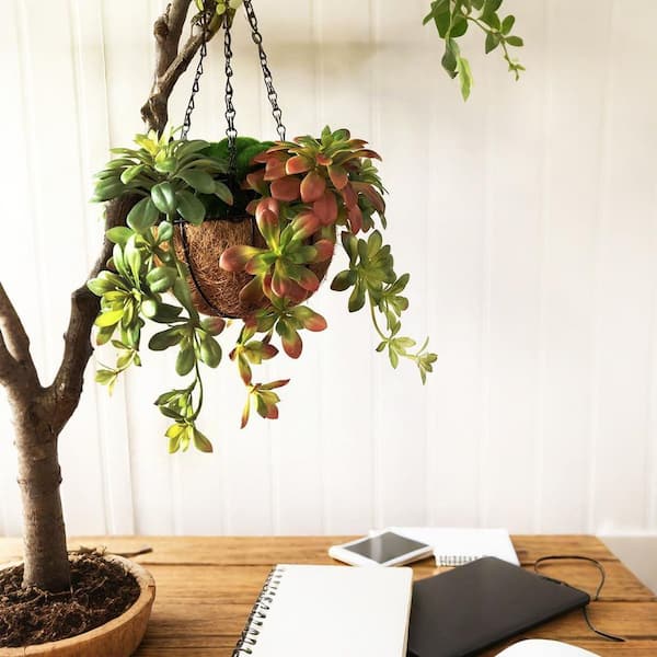 Unbranded 6.7 in. 2Pcs Artificial Succulent Plants Green Realistic Indoor  Outdoor Decorative Faux Succulent Plant Hanging Ornament 59C1124D1959