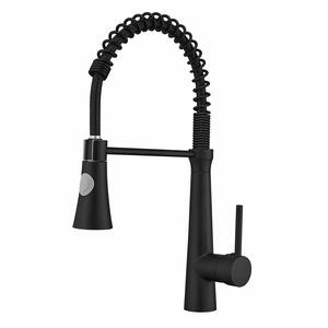 Single Handle Pull Down Sprayer Kitchen Faucet with 360 Degree Rotation in Matte Black