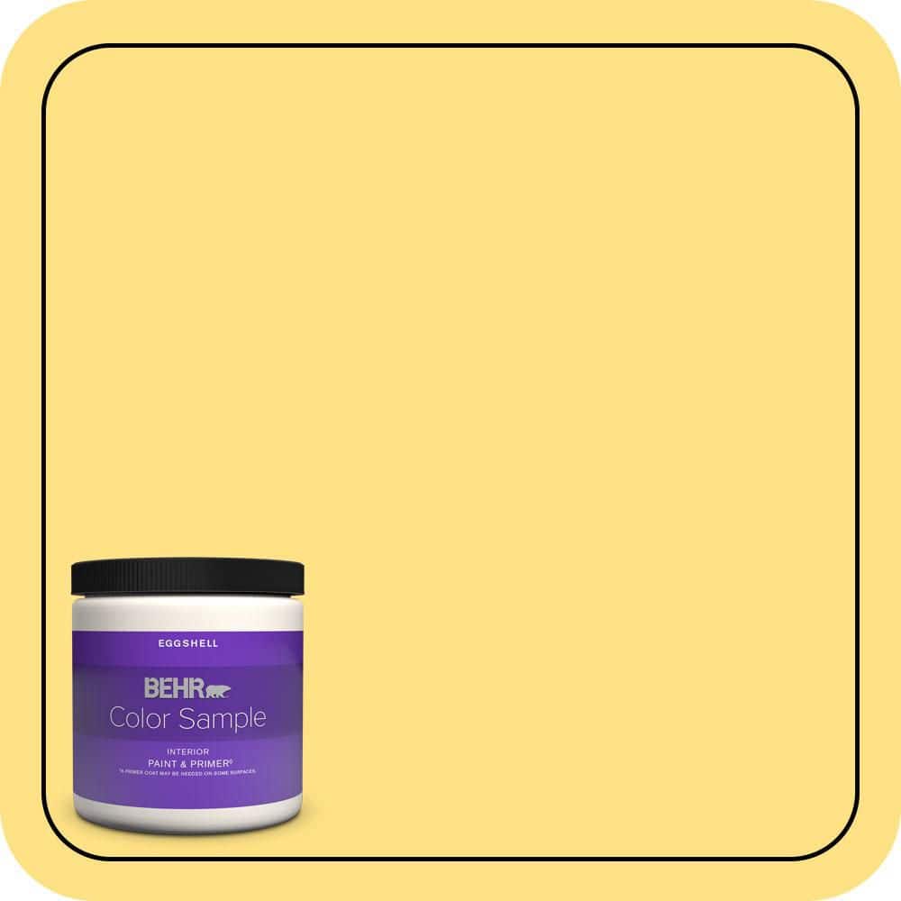 8 oz. #360B-4 Sweet Chamomile Eggshell Enamel Interior Paint & Primer Color Sample price history on PriceWatchPro
