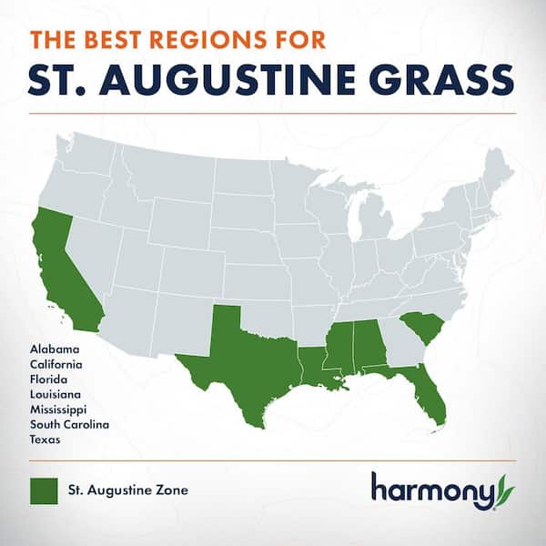 500 sq. ft. St. Augustine Sod (1-Pallet)