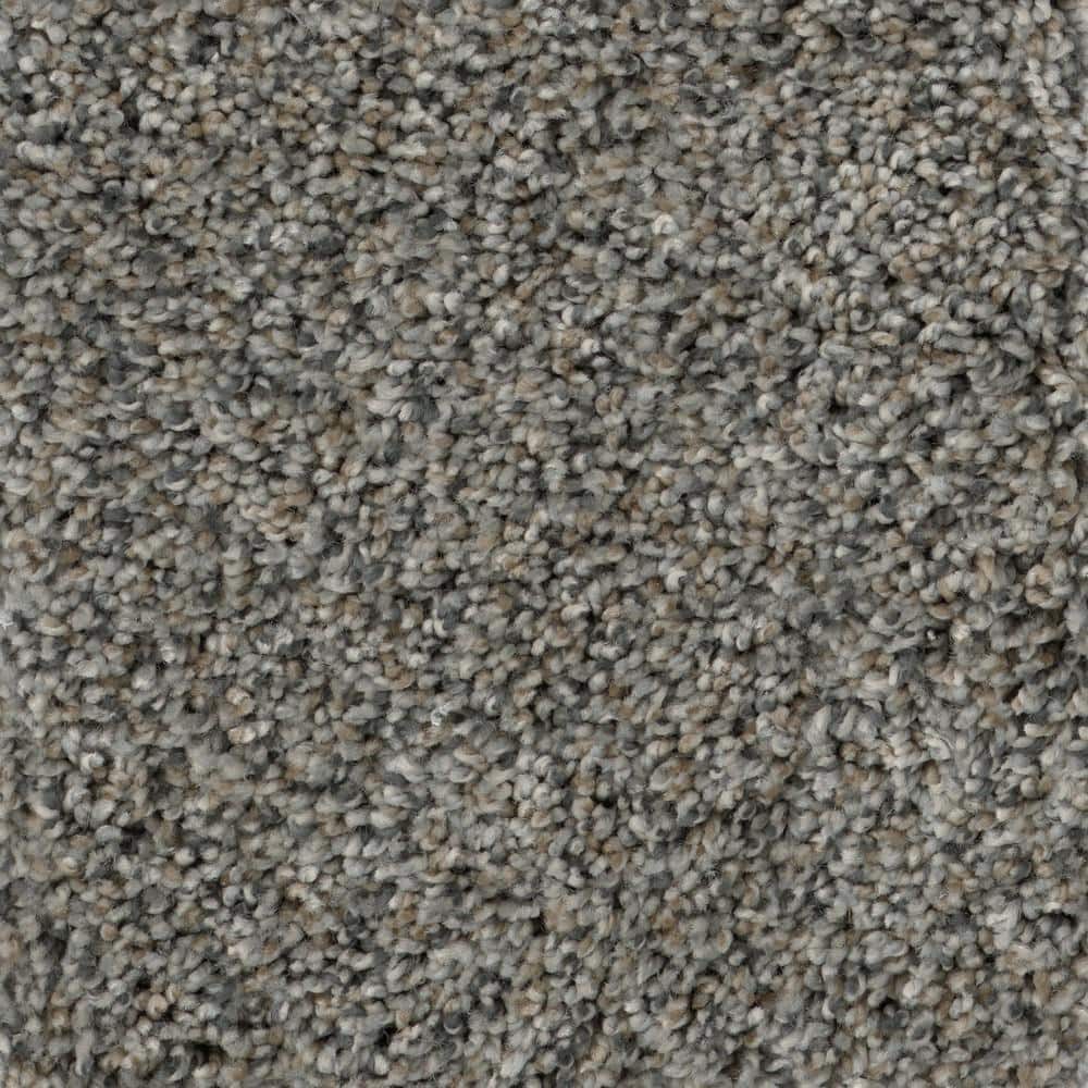8 in. x 8 in. Texture Carpet Sample - Sussex -Color Kindle price history on PriceWatchPro