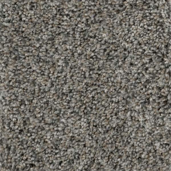 Home Decorators Collection 8 in. x 8 in. Texture Carpet Sample - Sussex -Color Kindle