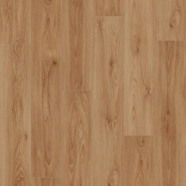 Home Decorators Collection Take Home Sample - Fox Hollow Oak Waterproof Laminate Wood Flooring