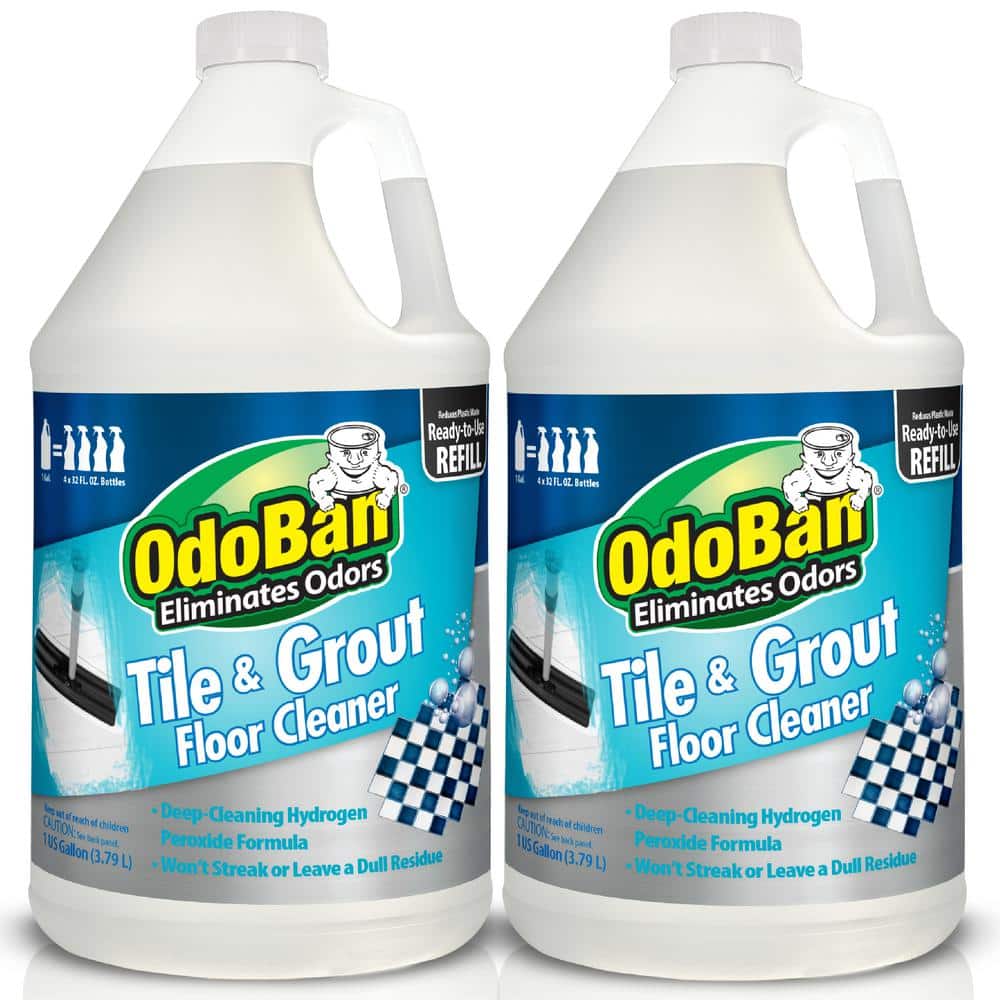 1 Gal. Tile and Grout Floor Cleaner (Ready-to-Use) (2 Pack) price history on PriceWatchPro