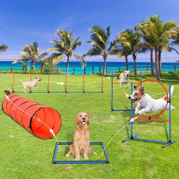 ●LOTONE & J-DOG SKYSHALO Dog Agility Training Equipment, 5 PCS Set Upgrade