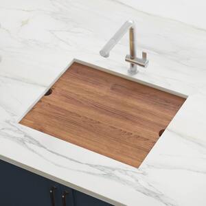 Roma 16 Gauge Stainless Steel 21 in. Undermount Workstation Bar Sink