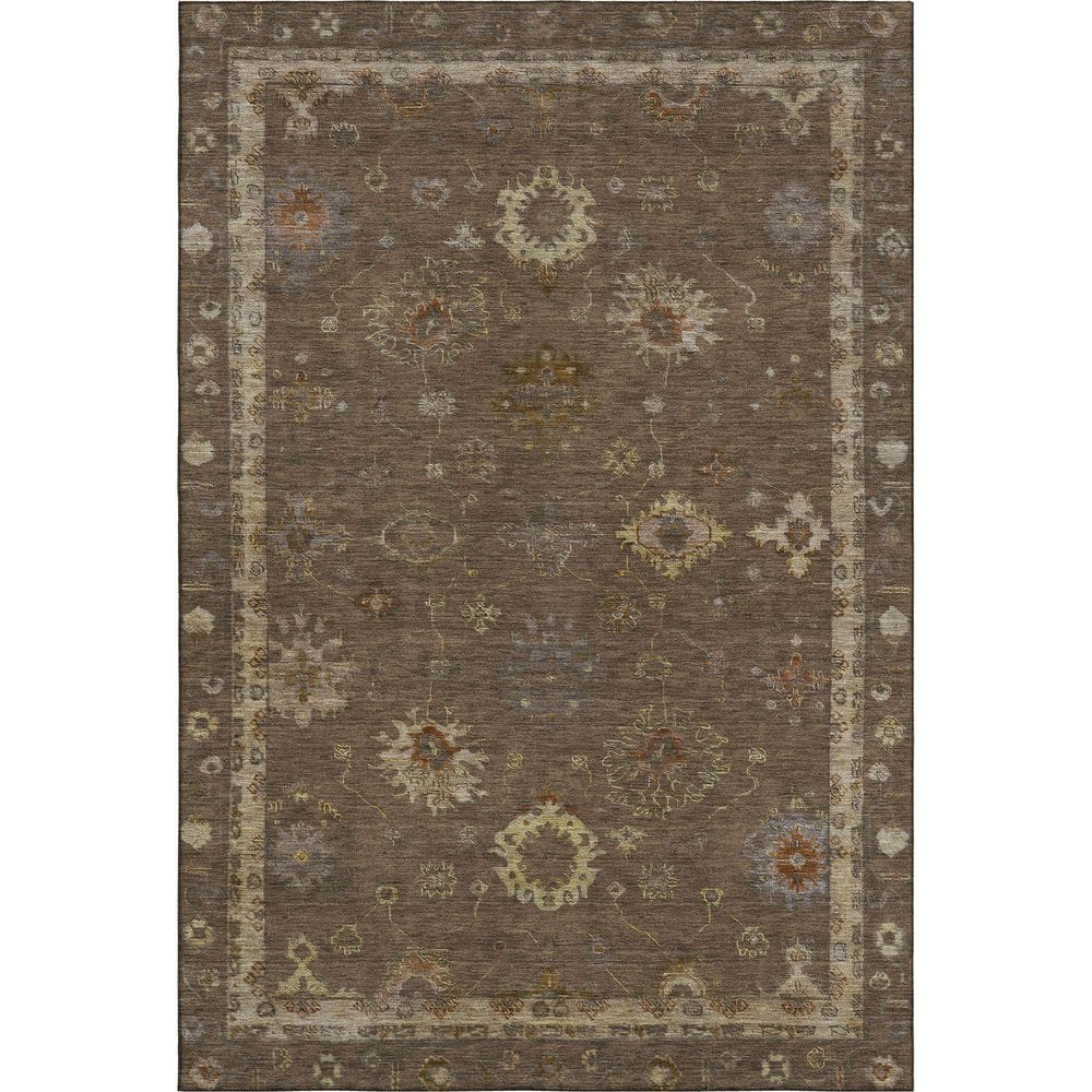 Mayfield Premium Machine Washable Abstract AMF2045 Chocolate 3 ft. x 4 ft. Area Rug price history on PriceWatchPro