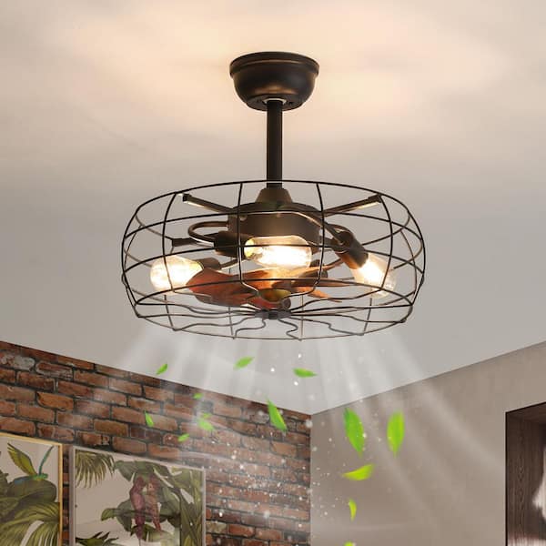 20 in. Black Indoor Farmhouse Caged Ceiling Fan with Light Downrod Mount Ceiling Fan with Remote Control, Bulbs Included