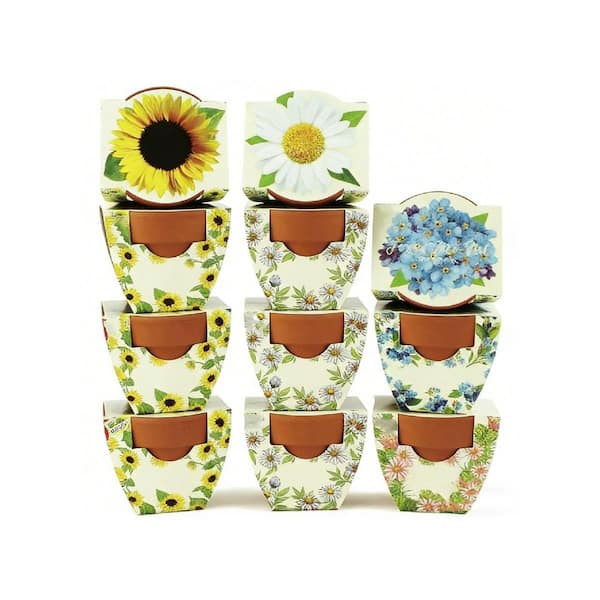 Mixed Seeds Mini Terracotta Flower Seeds (12-Pack) HP7V259BBT