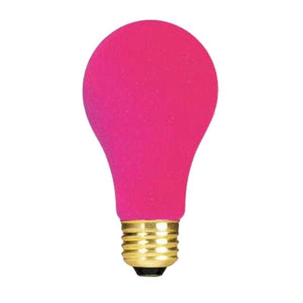 Bulbrite 40-Watt Incandescent A19 Light Bulb (25-Pack)