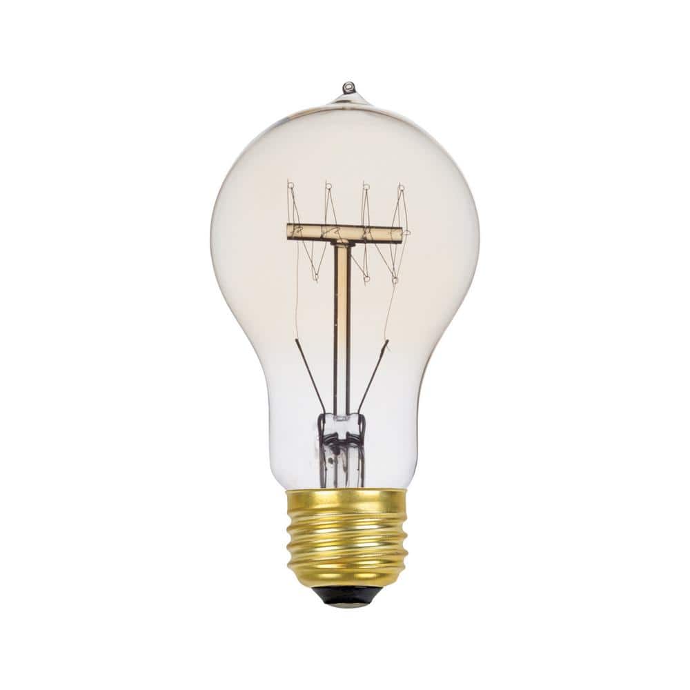 60 Watt A19 Dimmable Cage Filament Vintage Edison Incandescent Light Bulb, 
