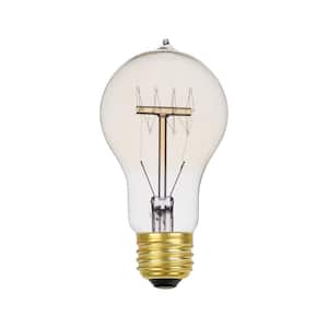 60 Watt A19 Dimmable Cage Filament Vintage Edison Incandescent Light Bulb, Warm Candle Light