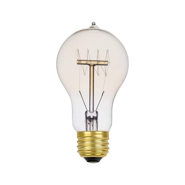 Globe Electric 60 Watt A19 Dimmable Cage Filament Vintage Edison Incandescent Light Bulb, Warm Candle Light