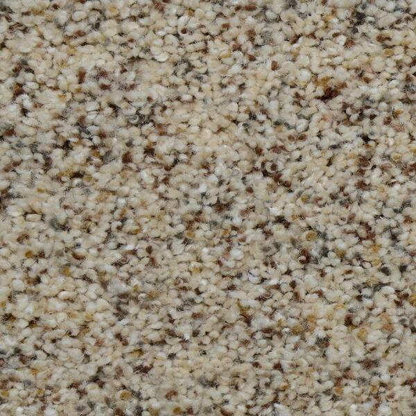 Home Decorators Collection Carpet Sample - Beach Club II - Color Winfield Texture 8 in. x 8 in.