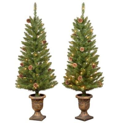 4 ft Montclair Spruce Potted 2-Pack