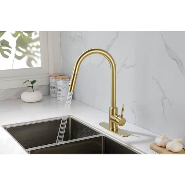 Tahanbath Single Handle Pull Down Sprayer Kitchen Faucet in