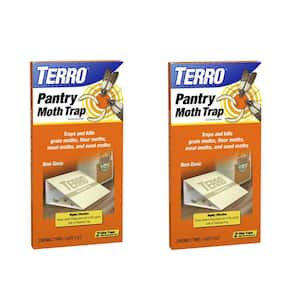 TERRO Non-Toxic Indoor Pantry Moth Trap (6-Count) T2900VB6 - The