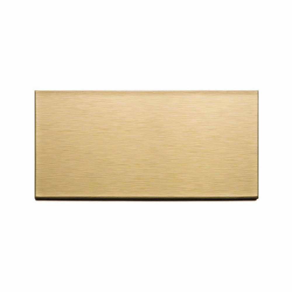 Aspect Long Grain 6 in. x 3 in. Brushed Champagne Metal Decorative