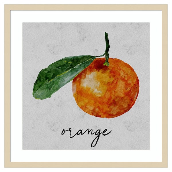 Amanti Art Summertime Citrus I by Regina Moore 25 in. W x 25 in. H. Wood Framed Wall Art Print Framed in Brown