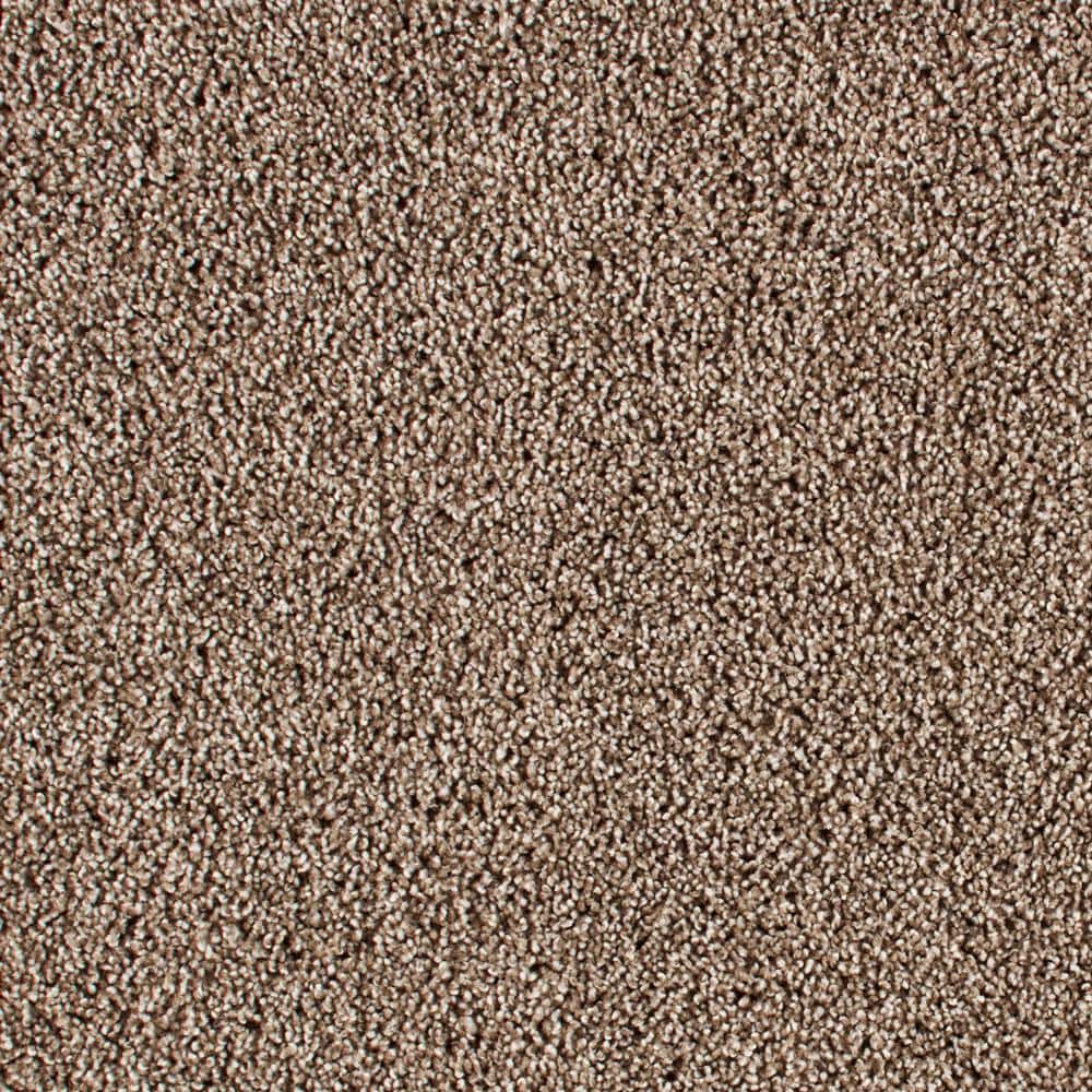 8 in. x 8 in. Texture Carpet Sample - Huntcliff I -Color Tiki Hut price history on PriceWatchPro