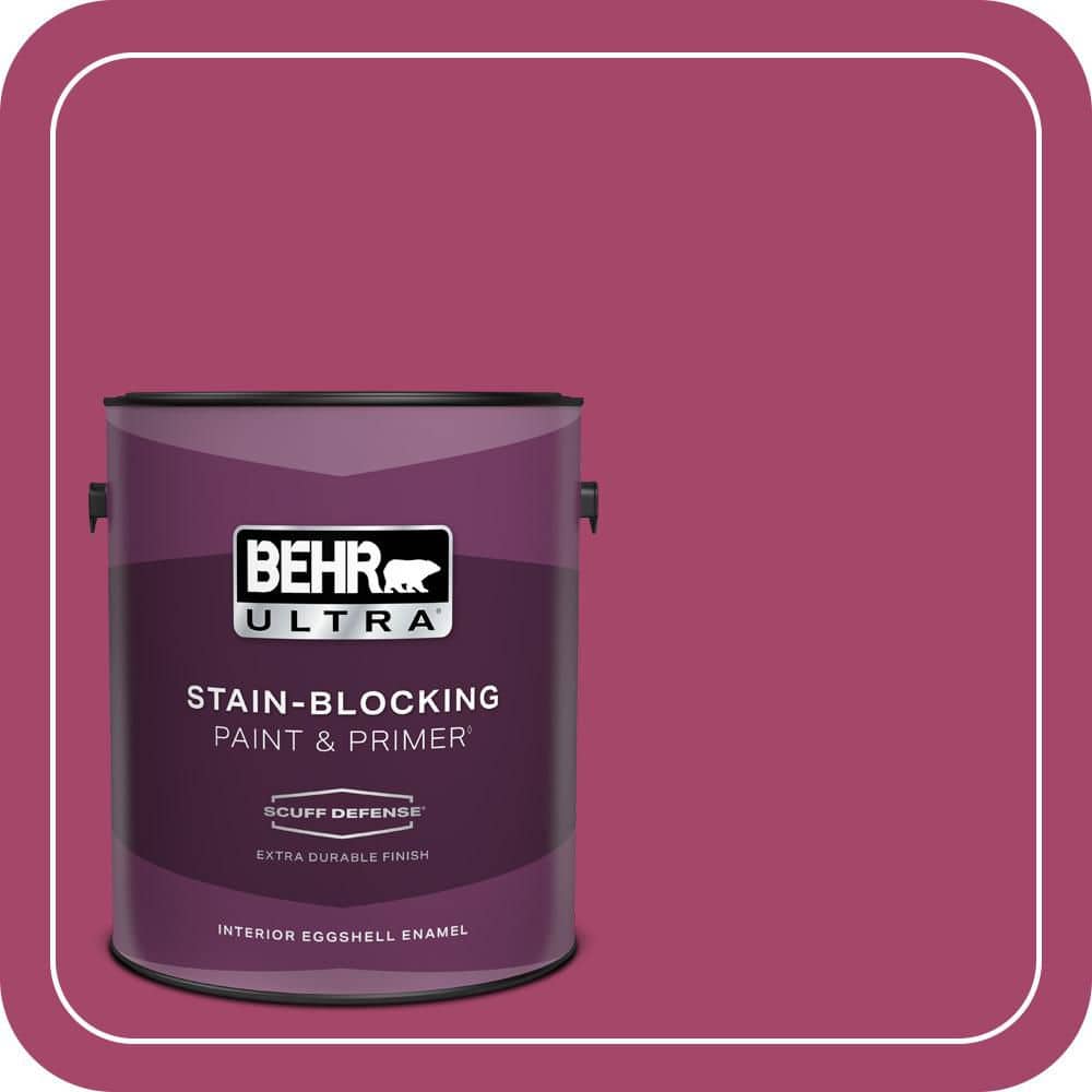 1 gal. Home Decorators Collection #HDC-SM14-1 Fuschia Flair Extra Durable Eggshell Enamel Interior Paint & Primer price history on PriceWatchPro