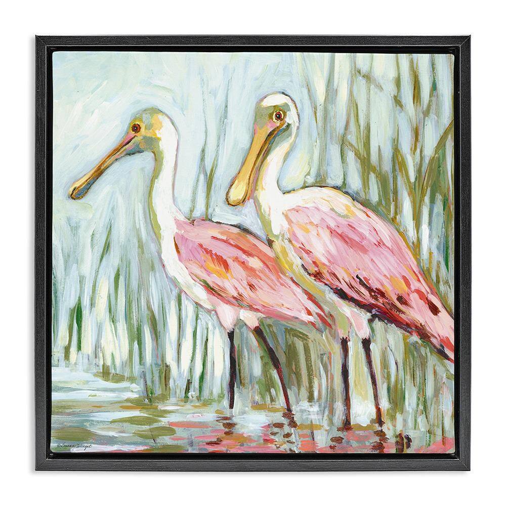 Spoonbill Birds Pair by Susan Winget 1 Piece Black Floater Frame Animal Graphic Art Print 25 in. x 25 in. price history on PriceWatchPro