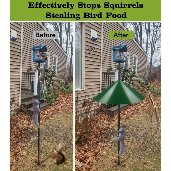 Squirrel Proof Bird Feeder Pole 91