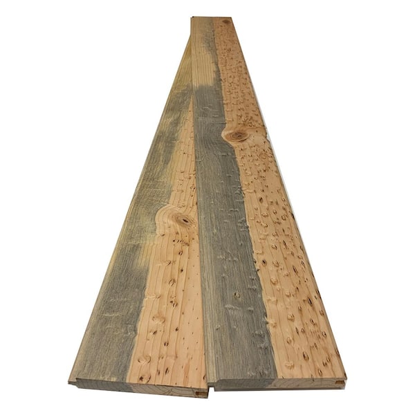 1 in. x 6 in. x 8 ft. Blue Stain Pine Tongue and Groove Siding Board (2-Pack)