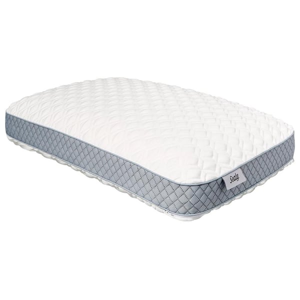 Sealy 24 in. x 16 in. Standard Memory Foam Pillow