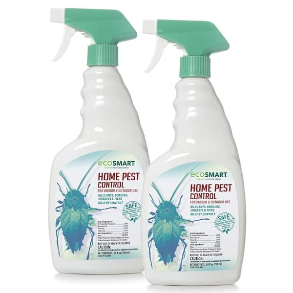 Homemade Bug Spray for Indoor Plants