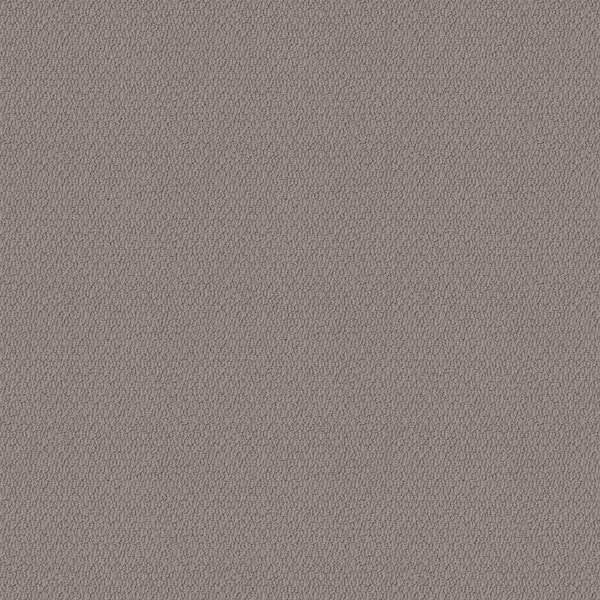 Lifeproof 8 in. x 8 in. Pattern Carpet Sample - Summerville -Color Pewter Loop