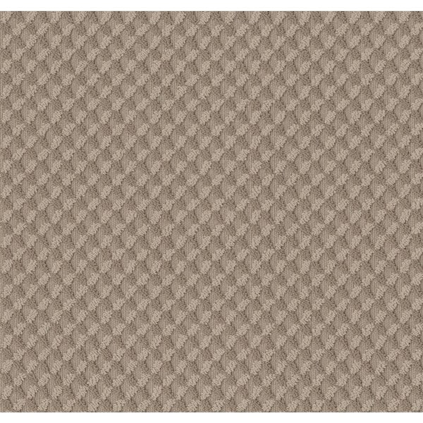 Lifeproof Genevieve Color Desert Sand Brown - 39 oz. Nylon Pattern Installed Carpet