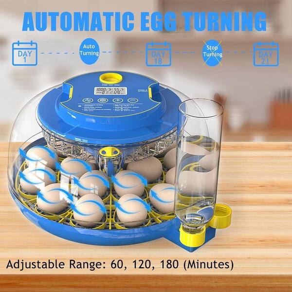 KIWDZFU Egg Incubator with Auto Turning Humidity Control 360° View