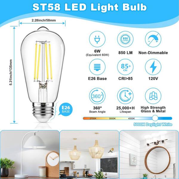 Vrbgify 60-Watt Equivalent ST58 Non-Dimmable Vintage Edison LED