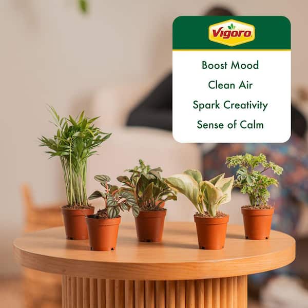 metal potted plant stand Cocoyard Three Flower Pots Collapsible Plant Stands, No Assembly Tools Required, Set of 2 (Large+Small) main image 1