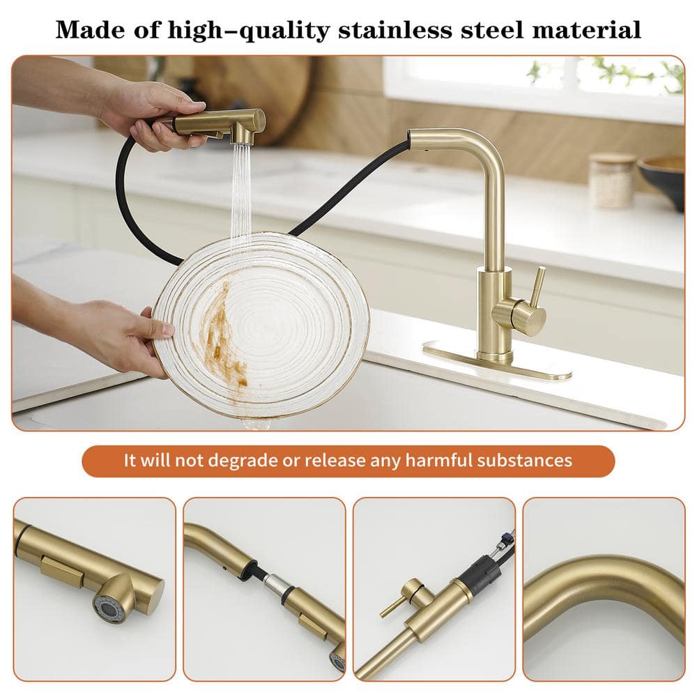 Brushed Gold Stainless Steel Pull-Out Kitchen Faucet