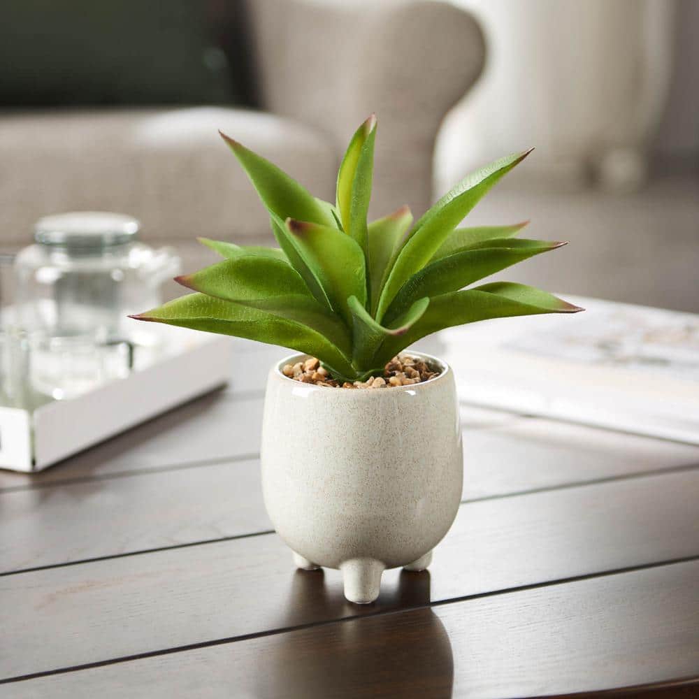 Artificial Agave Plant in Footed Ceramic Pot